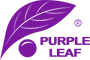 PURPLE LEAF